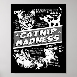 Poster Folie de l'herbe à chat Chaton mignon Chat drôle H