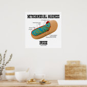 Poster Folie mitochondriale dans la biologie de Mitochond (Cuisine)