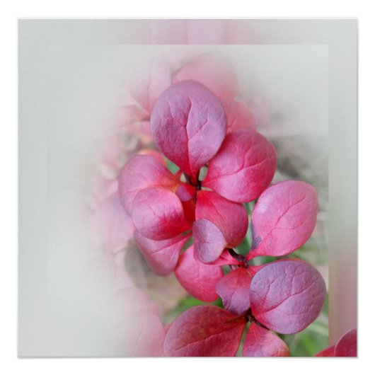 Poster folioles rouge vif (Devant)
