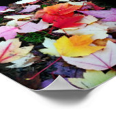 Poster Folithe d'automne (Coin)