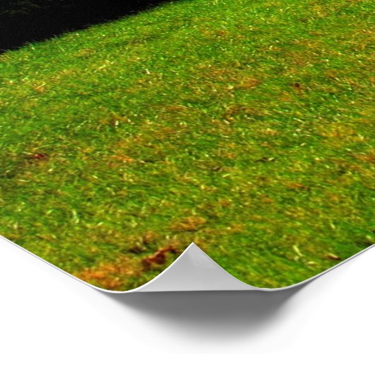 Poster Folithe d'automne (Coin)