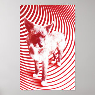 Poster folle hazie