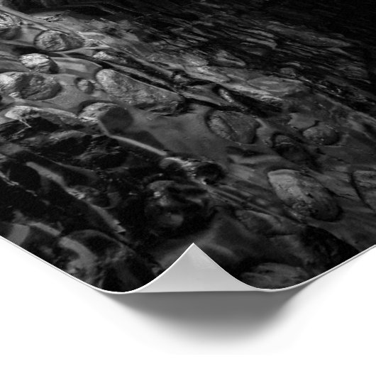 Poster Follow me..  (Coin)