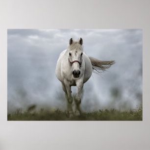 Poster Fonctionnement de cheval blanc