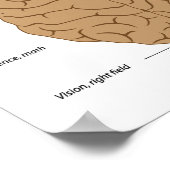 Poster Fonctions de l'affiche du cerveau (Coin)