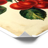 Poster Fond d'écran Antique Rouge Cerise Fruit (Coin)