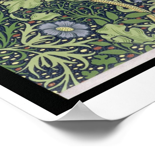 Poster Fond d'écran d'algue, imprimé par John Henry De (Coin)