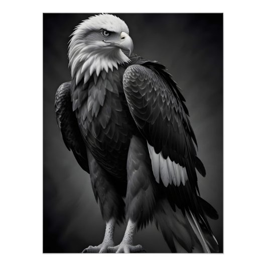 Poster Fond d'écran de la faune majestueuse de la nature (Devant)