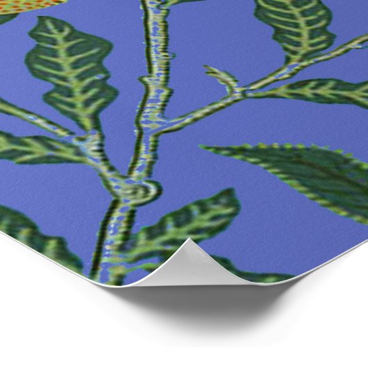 Poster Fond d'écran de la grenade William Morris (Coin)