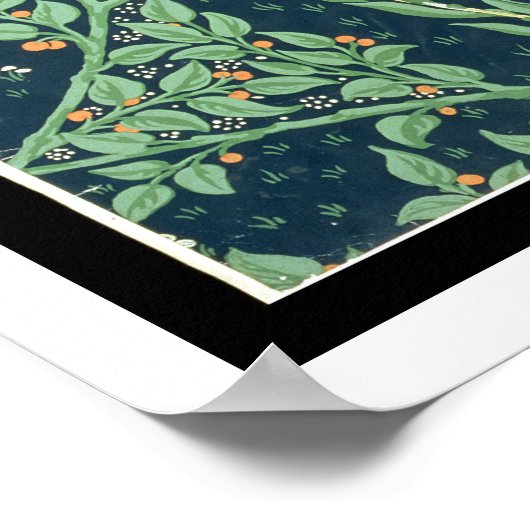 Poster Fond d'écran Francesca (Coin)