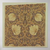 Poster Fond d'écran 'Pimpernel', 1876 (Devant)