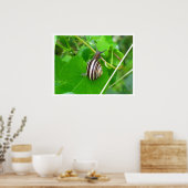 Poster Fond d'escargot sur une feuille (Cuisine)