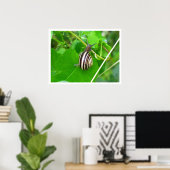 Poster Fond d'escargot sur une feuille (Bureau à domicile)