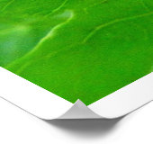 Poster Fond d'escargot sur une feuille (Coin)