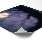 Poster Fond photo Halloween Nite (Coin)