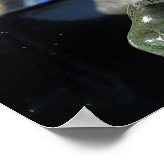 Poster Fontaine (Coin)