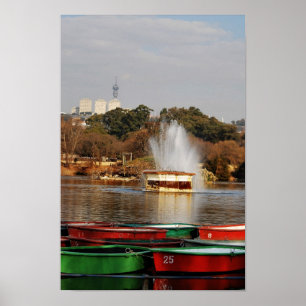 Poster Fontaine Afrique du Sud de lac zoo