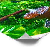 Poster Fontaine Dans Les Tropiques (Coin)