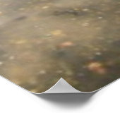 Poster Fontaine de Bethesda à Central Park Photo (Coin)