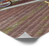 Poster Fontaine de Bethesda NYC - (Coin)