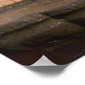 Poster Fontaine de chats de Kansas City (Coin)