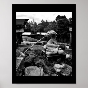 Poster Fontaine Dragon