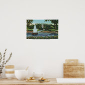 Poster Fontaine électrique et chutes (Cuisine)