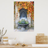Poster Fontaine en automne, Hongrie (Cuisine)