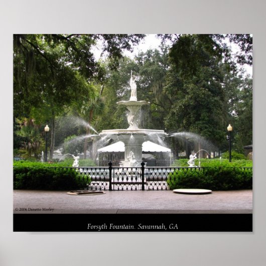 Poster Fontaine Forsyth (Devant)