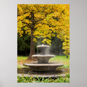 Poster Fontaine par un arbre à l'automne, Allemagne