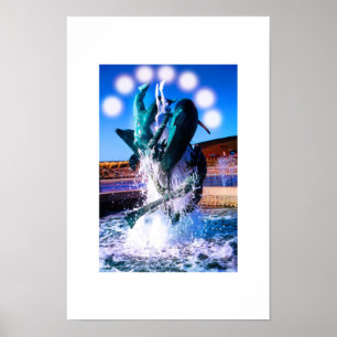Poster Fontaine qui nage avec les dauphins