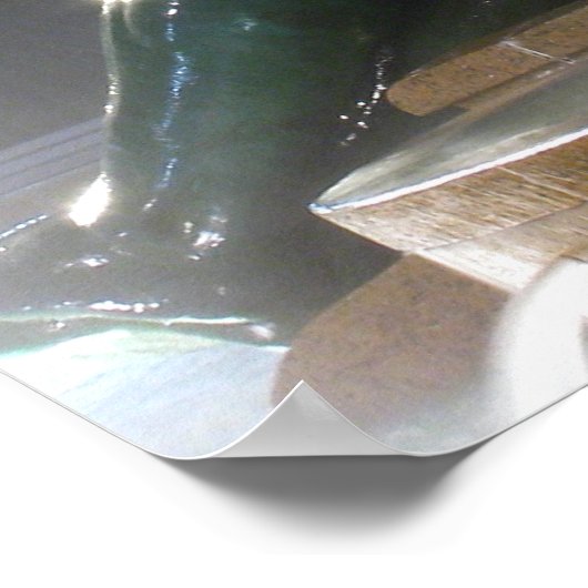 Poster Fontaine Swann avec l'hôtel de ville Imprimer (Coin)