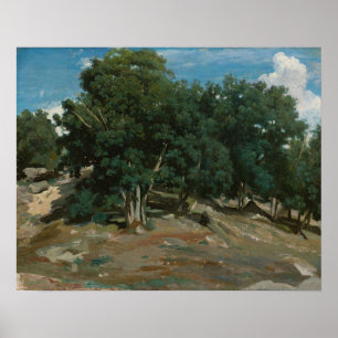 Poster Fontainebleau
