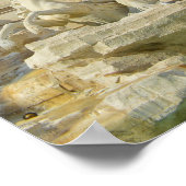 Poster Fontana di Trevi (Coin)