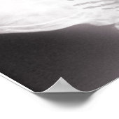 Poster Foot à Mouth X-Ray (Coin)