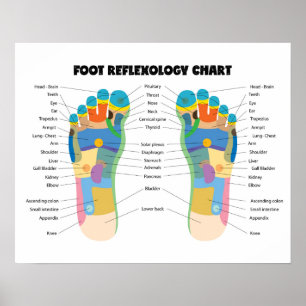 Poster Foot Reflexology Chart 20" x 16", (Matte)