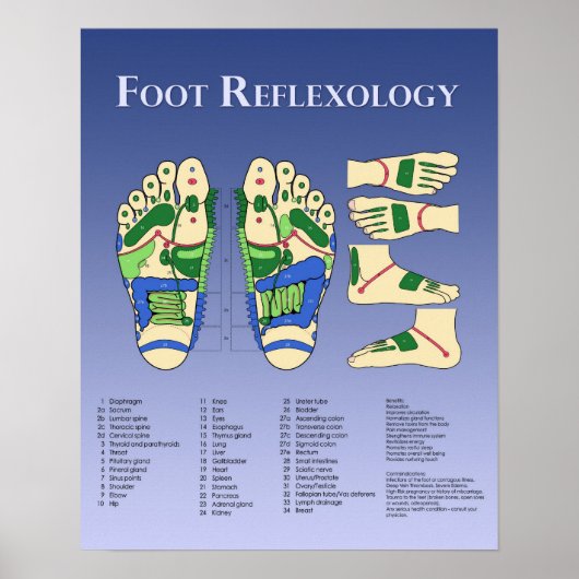 Poster Foot Reflexology chart - Blue (Devant)