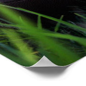 Poster Football (Coin)