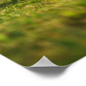 Poster Football (football) 5 (Coin)