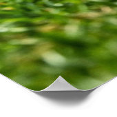 Poster Football Receiver Gloves on Turf Field (Coin)