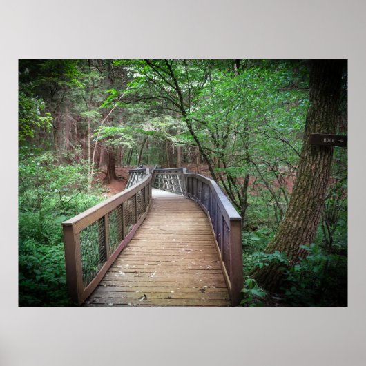 Poster Footbridge (Devant)