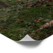 Poster Footbridge in Fall (Coin)