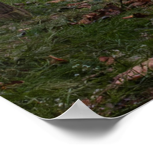 Poster Footbridge in Fall (Coin)