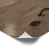 Poster Footprints in the Sand (Coin)