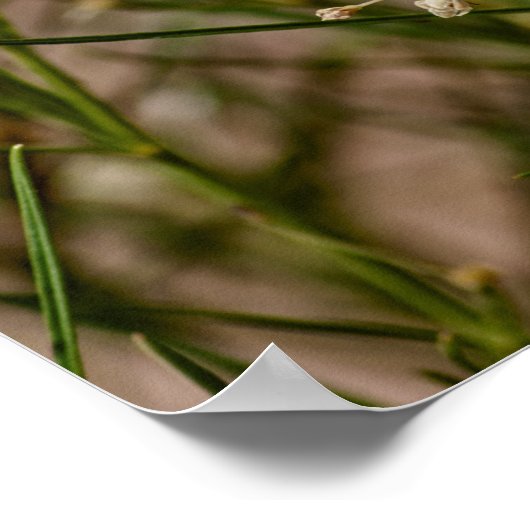 Poster Forager du Sud-Ouest (Coin)