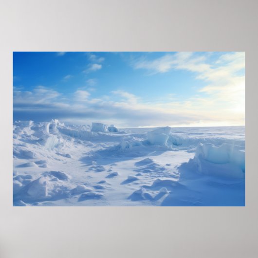 Poster Force naturelle extrême froide puissance de catast (Devant)