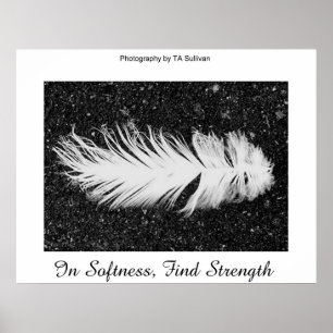 Poster Force par TDGallery