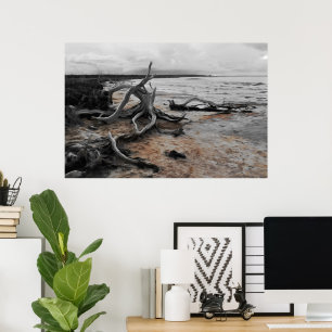 Poster Forces naturelles du lac Tyrrell