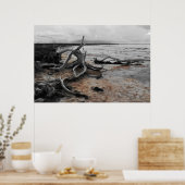 Poster Forces naturelles du lac Tyrrell (Cuisine)