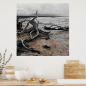 Poster Forces naturelles du lac Tyrrell (Cuisine)
